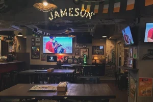 IRISH PUB The Red Deer